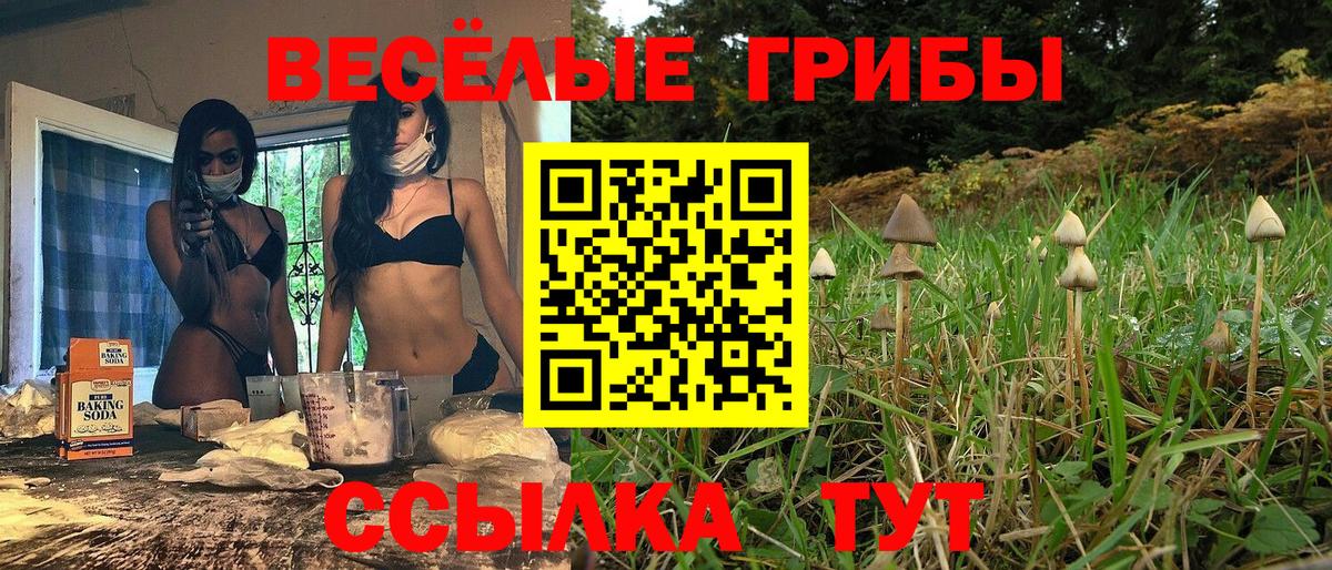Петропавловск-Камчатский  Галлюциногенные грибы прущие грибы  цена наркотик  Вход с VPN 