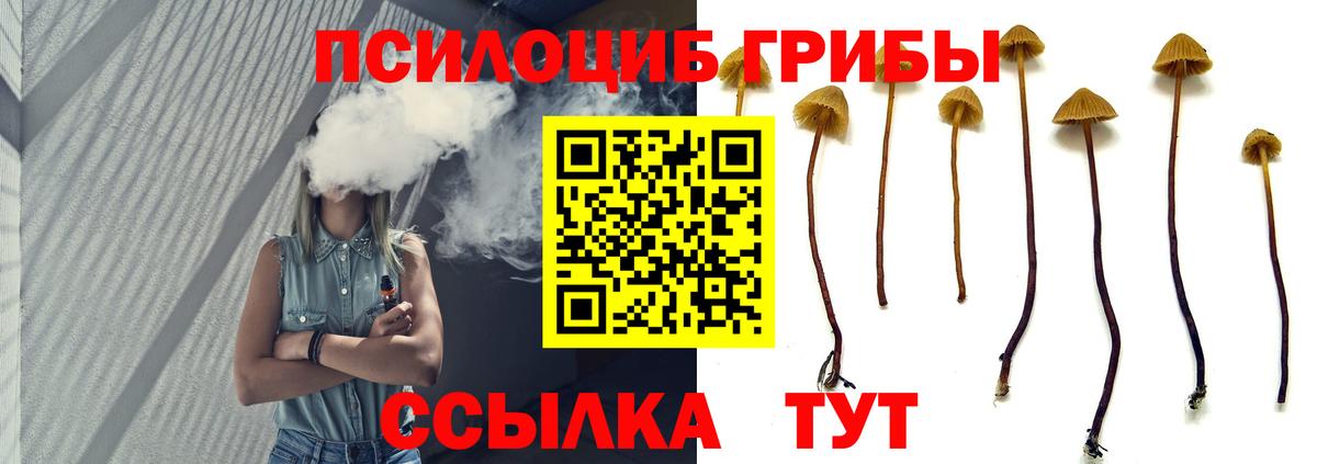 Галлюциногенные грибы Magic Shrooms Петропавловск-Камчатский